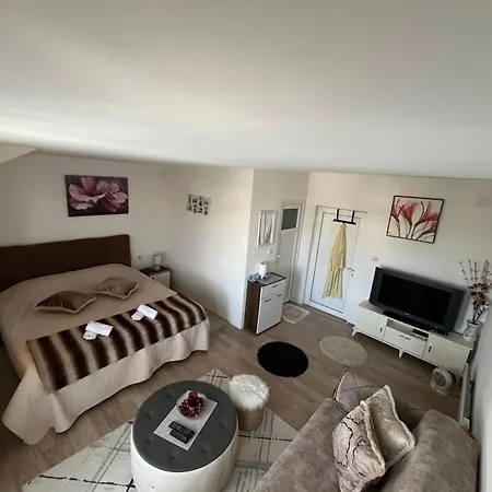 Prenociste Delija 020 Sjenica