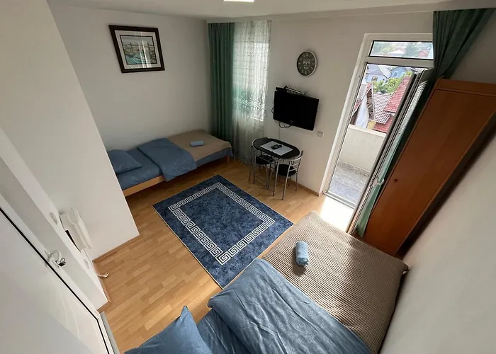 Prenociste Delija 020 Sjenica