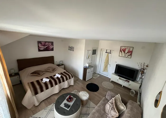 Prenociste Delija 020 Sjenica